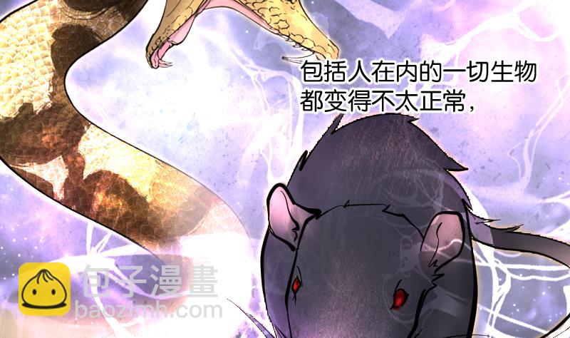 第209话 红娘子 537