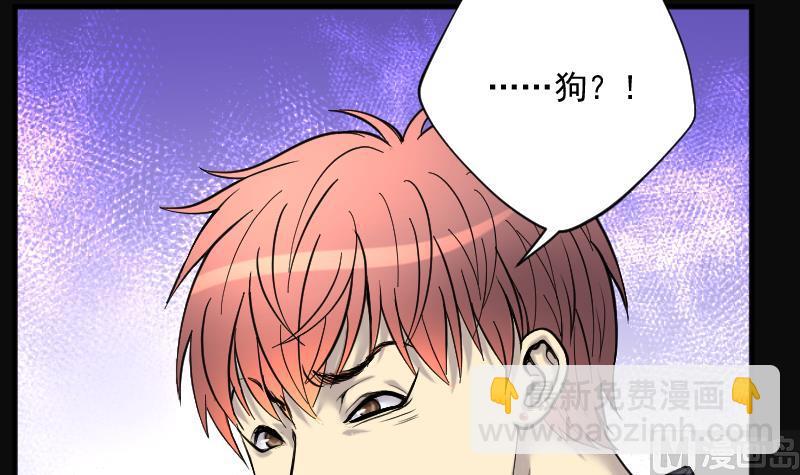 第223话 三条腿的狗腿 111