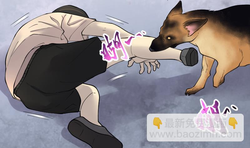 第223话 三条腿的狗腿 146