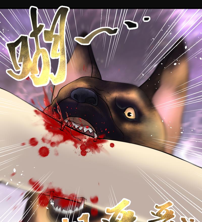 第223话 三条腿的狗腿 152