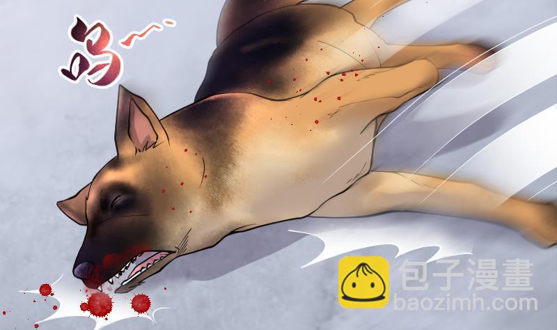 第224话 三条腿的狗腿 212
