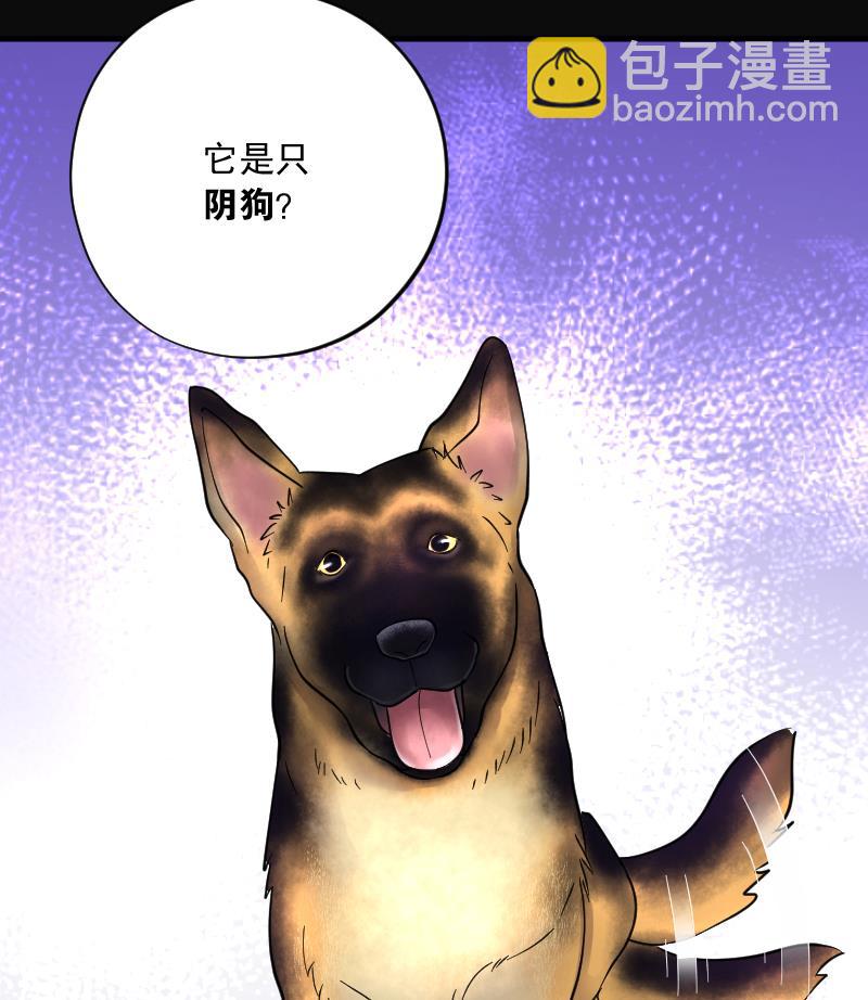 第224话 三条腿的狗腿 274