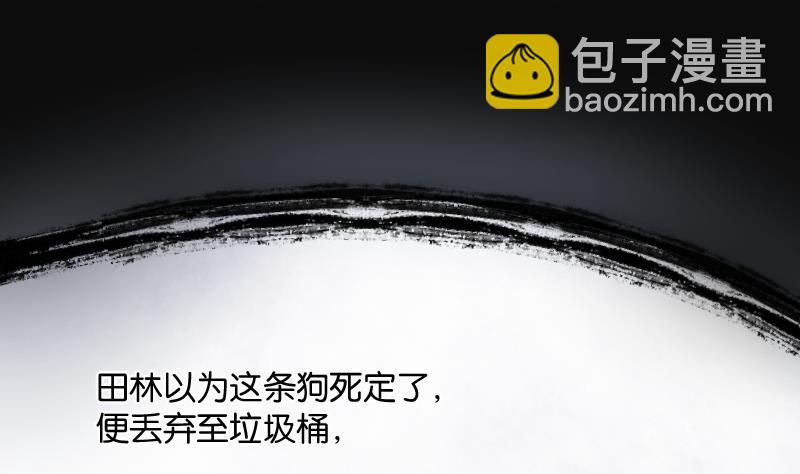 第229话 杀人凶手 519