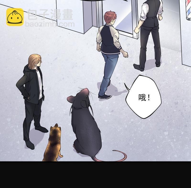 第233话 生平所见第一场劫运局 355