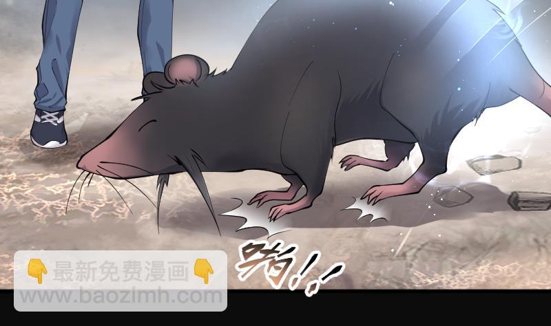 第254话 石眼龙王 17