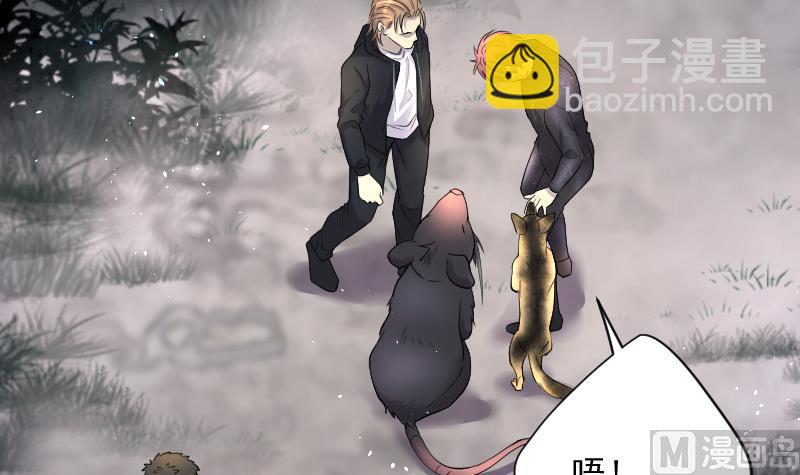 第259话 地下龙城 475
