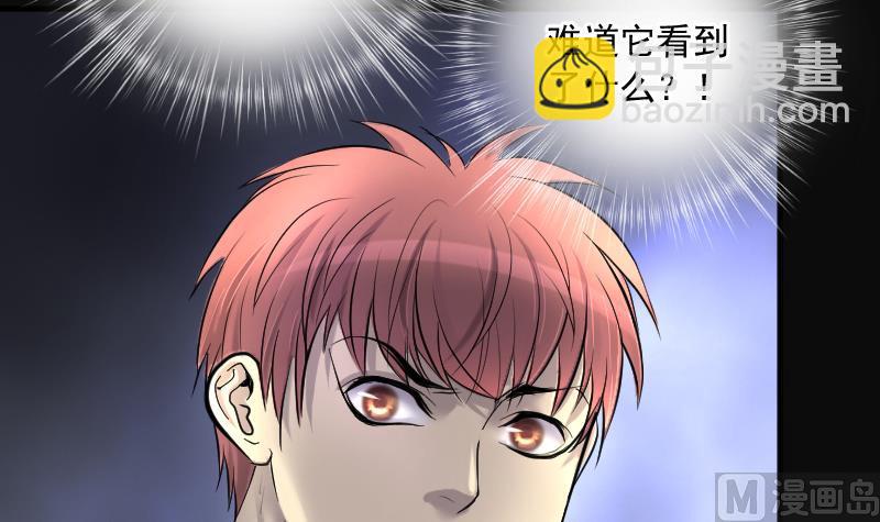 第267话 运尸体的兽医 266