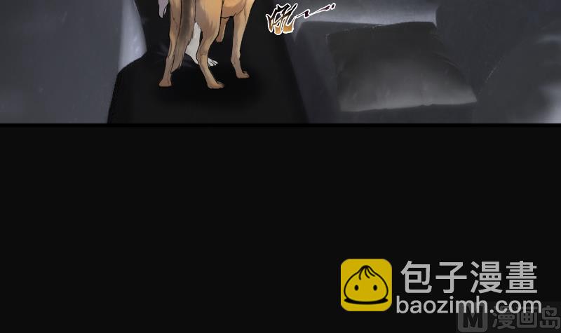 第267话 运尸体的兽医 278