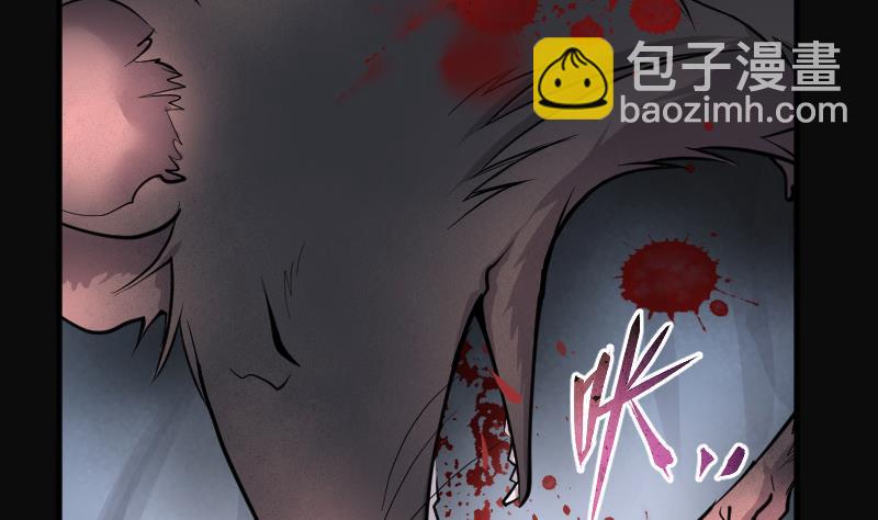 第268话 运尸体的兽医 318