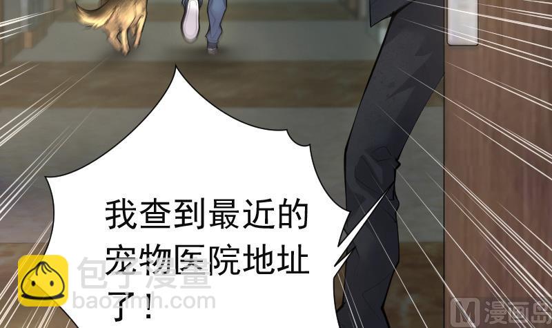 第268话 运尸体的兽医 332