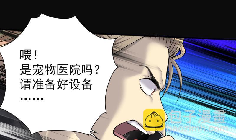 第268话 运尸体的兽医 339