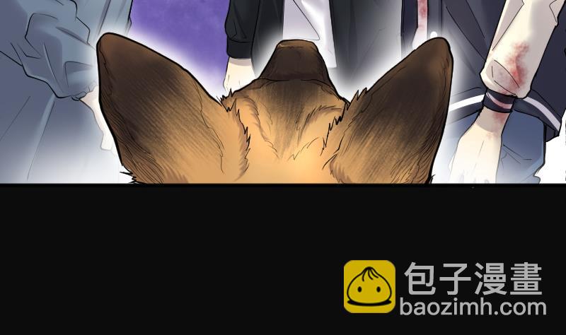 第269话 运尸体的兽医 4108