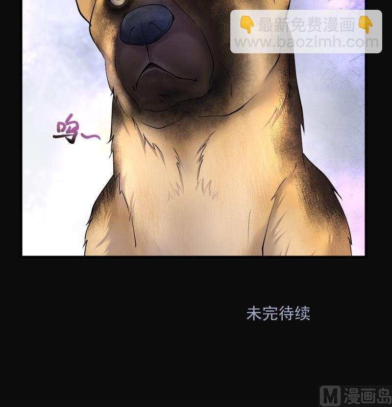 第269话 运尸体的兽医 4112
