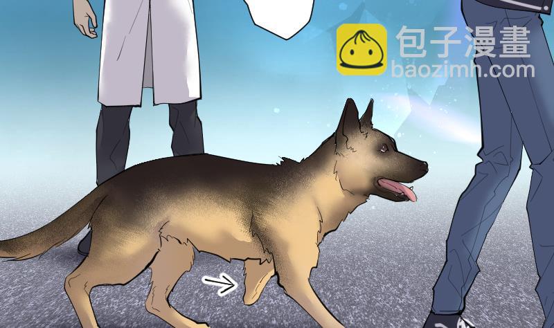 第269话 运尸体的兽医 419