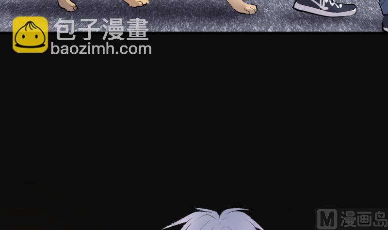 第269话 运尸体的兽医 420
