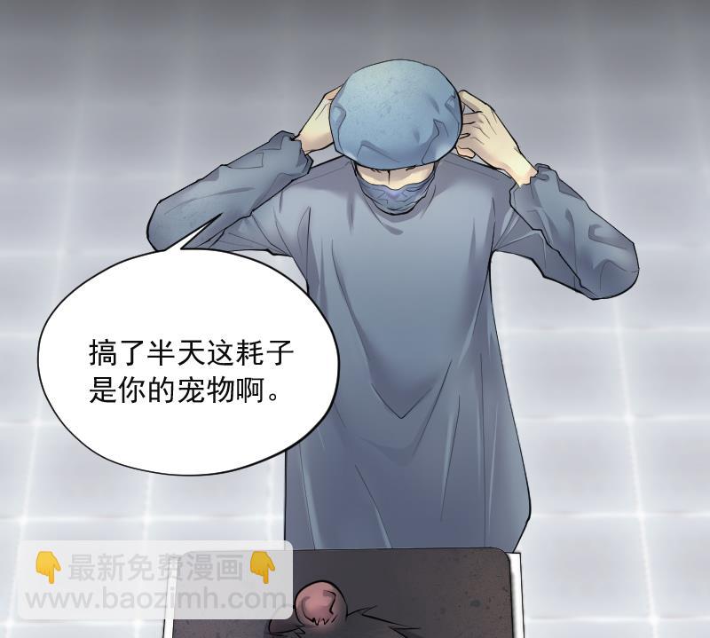第269话 运尸体的兽医 424