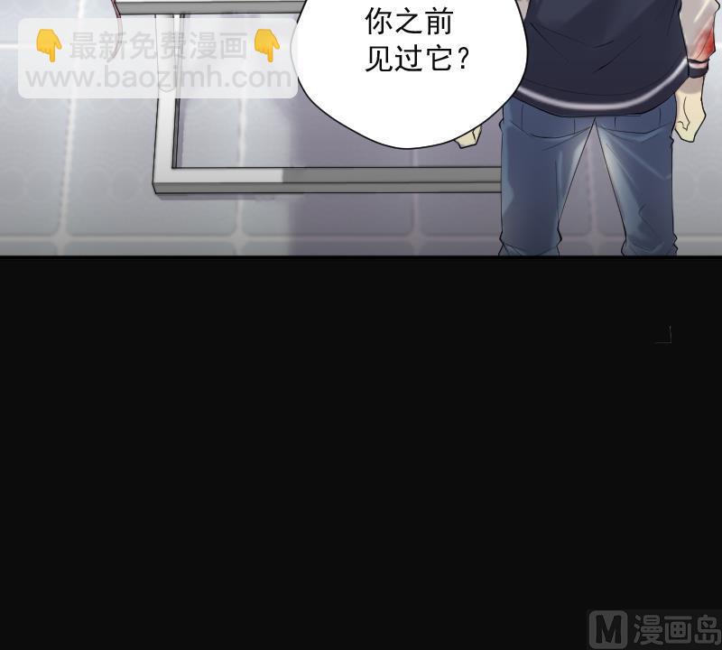 第269话 运尸体的兽医 426
