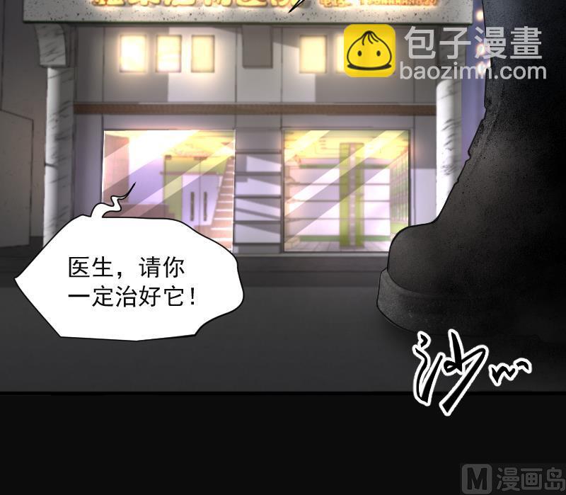 第269话 运尸体的兽医 441