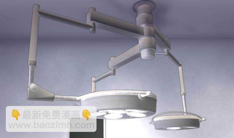 第269话 运尸体的兽医 445