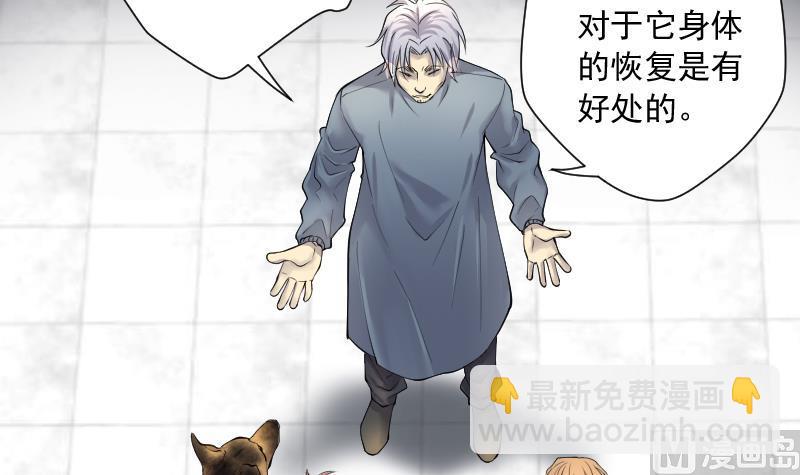 第269话 运尸体的兽医 487