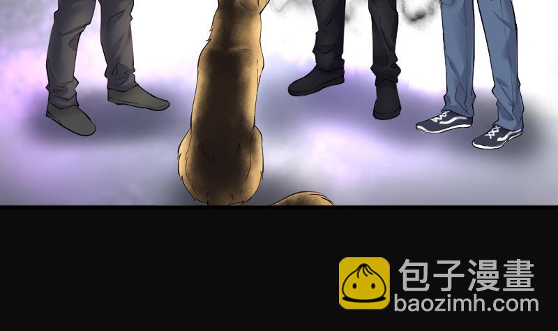 第269话 运尸体的兽医 498