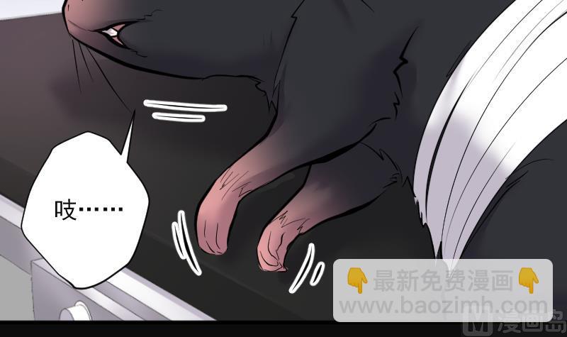 第272话 鼠妖的秘密 25