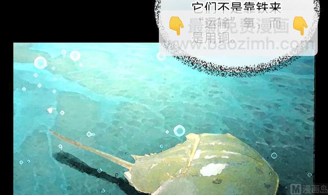 第353话 落惊发 214