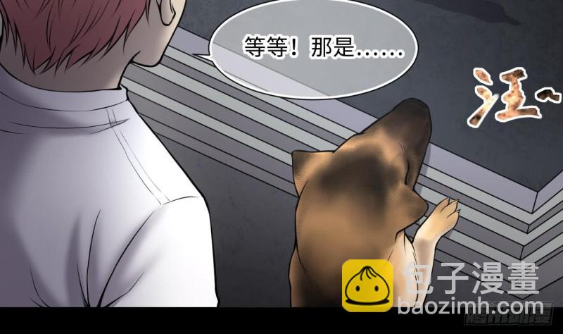 第385话 盗门之术 339