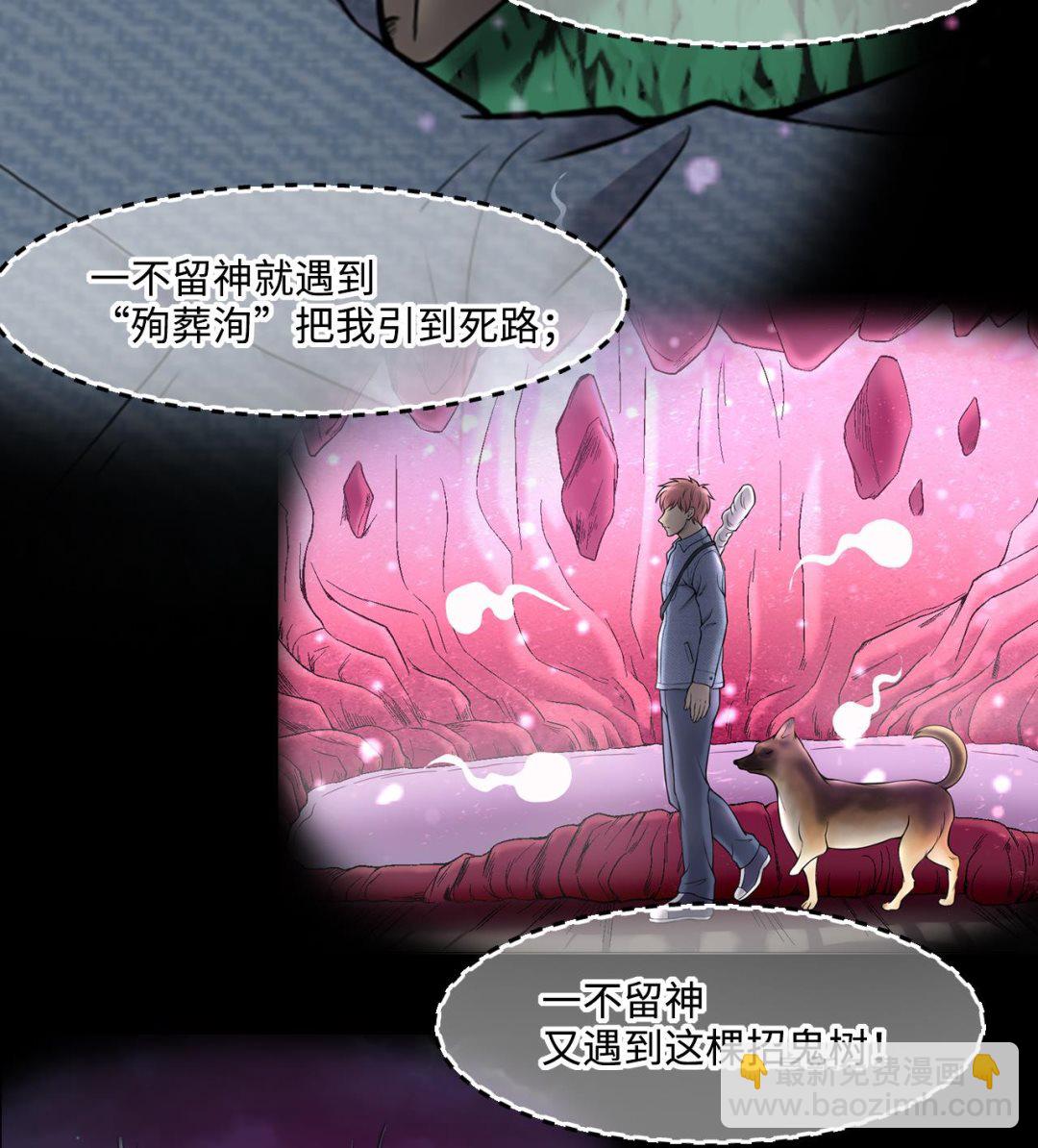 第388话 灯龙果 143