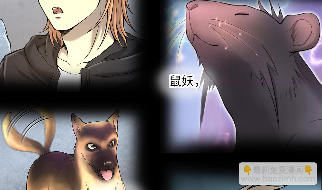 第388话 灯龙果 164