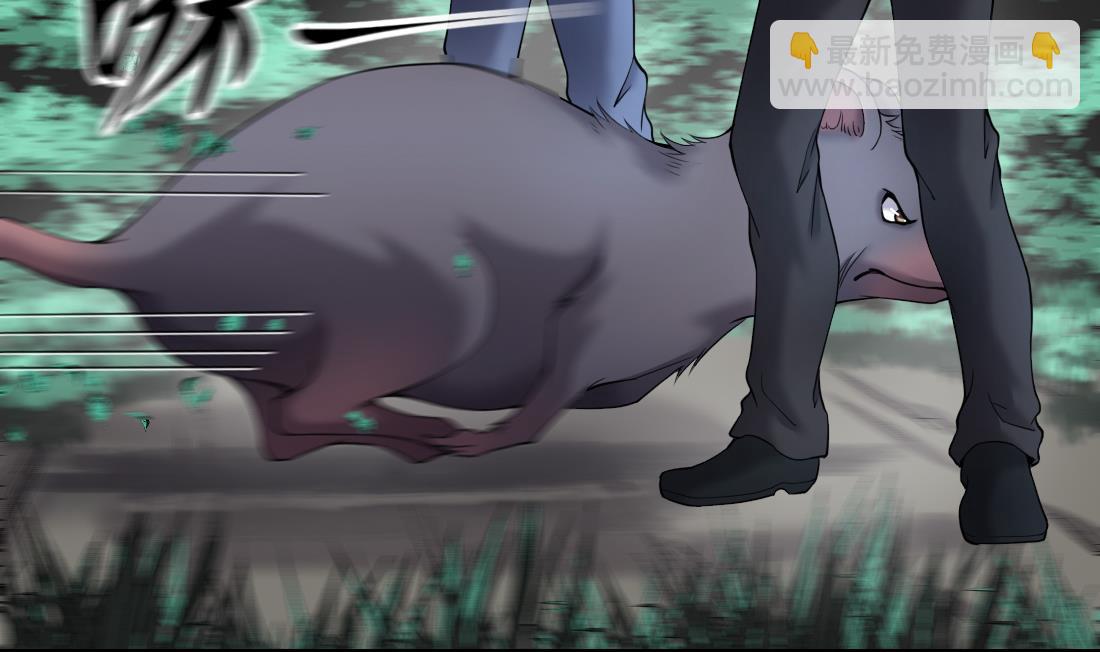 第440话 鼠妖受伤的真相 115