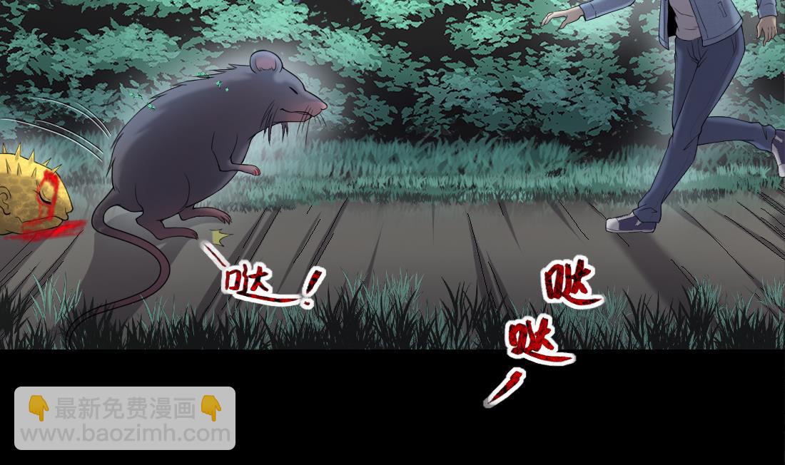 第440话 鼠妖受伤的真相 134