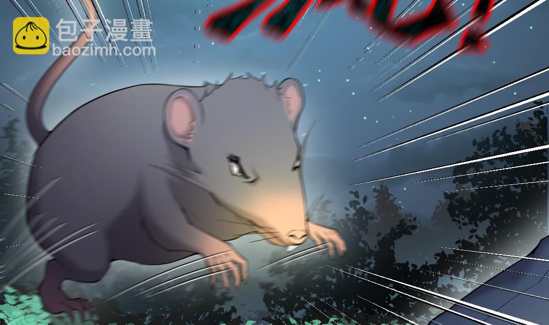第441话 鼠妖受伤的真相 215