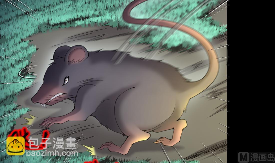 第441话 鼠妖受伤的真相 220
