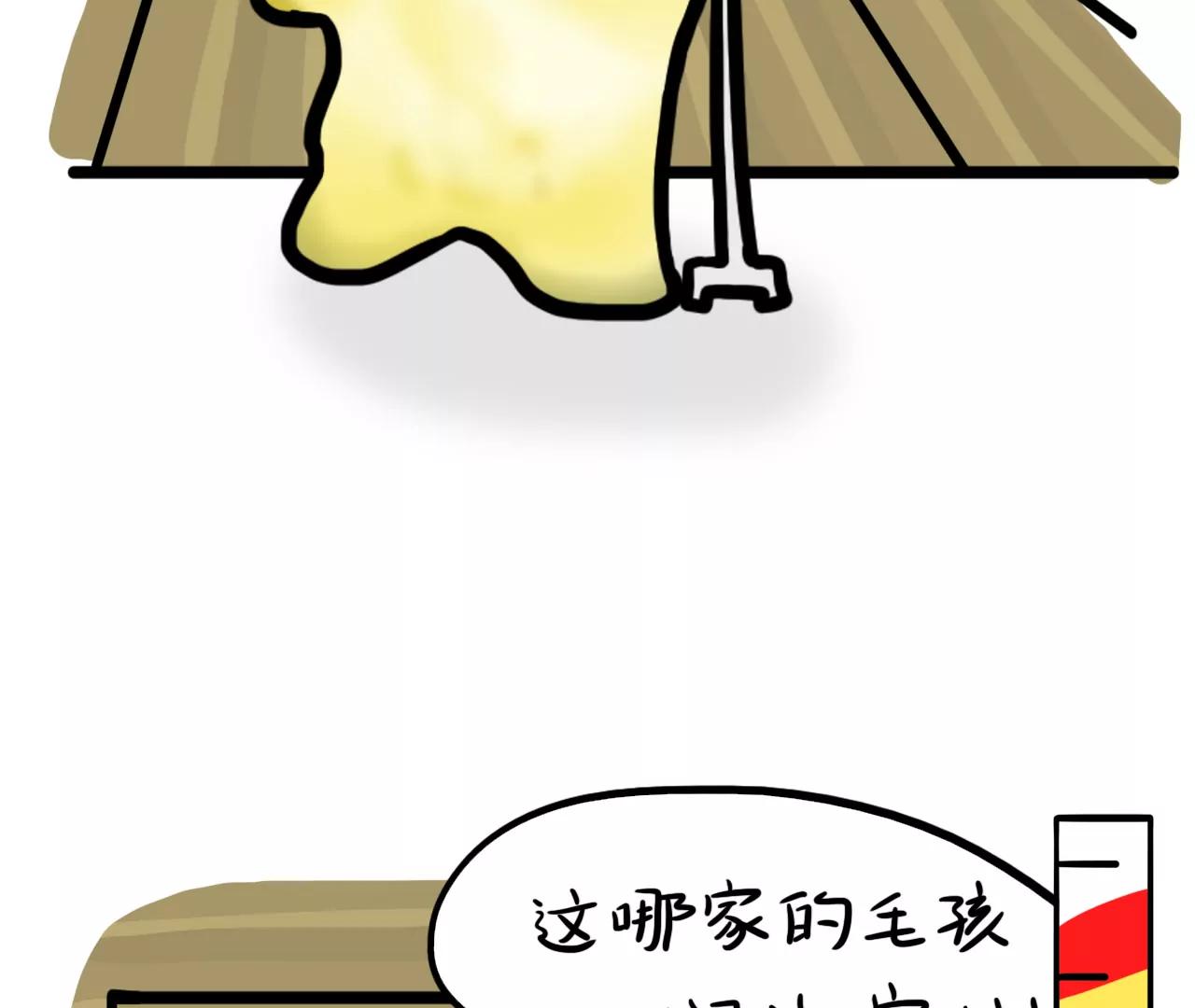暖心邻居61