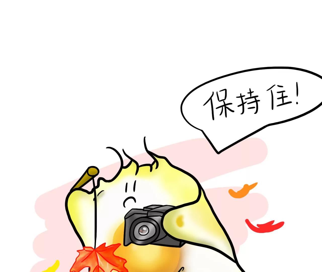 专属宠爱33