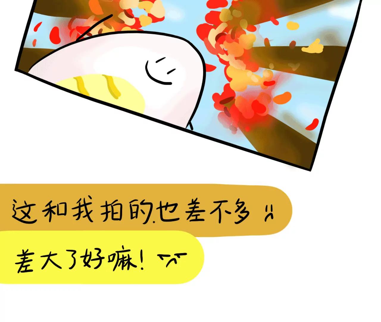 最喜欢的照片12
