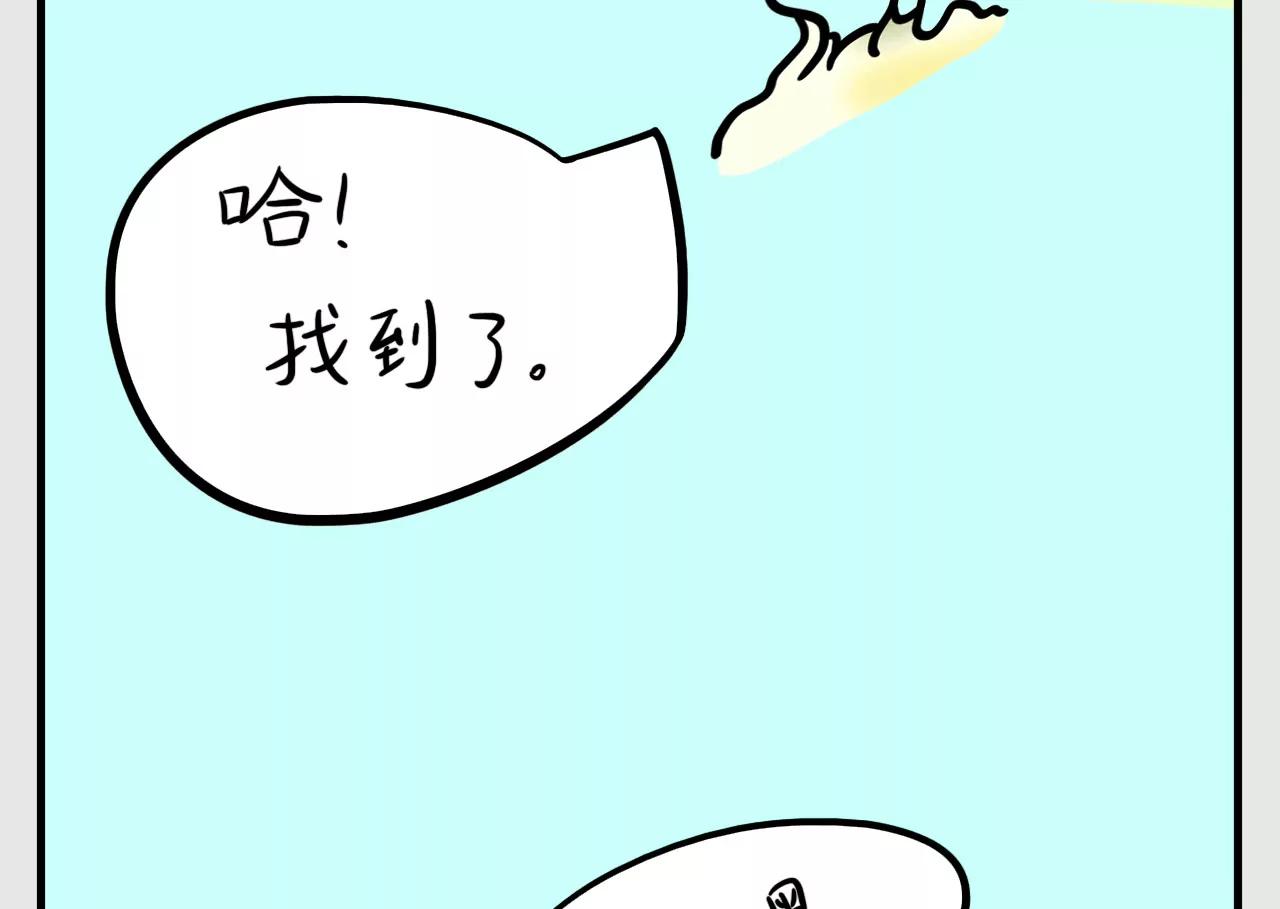 谁是赢家24