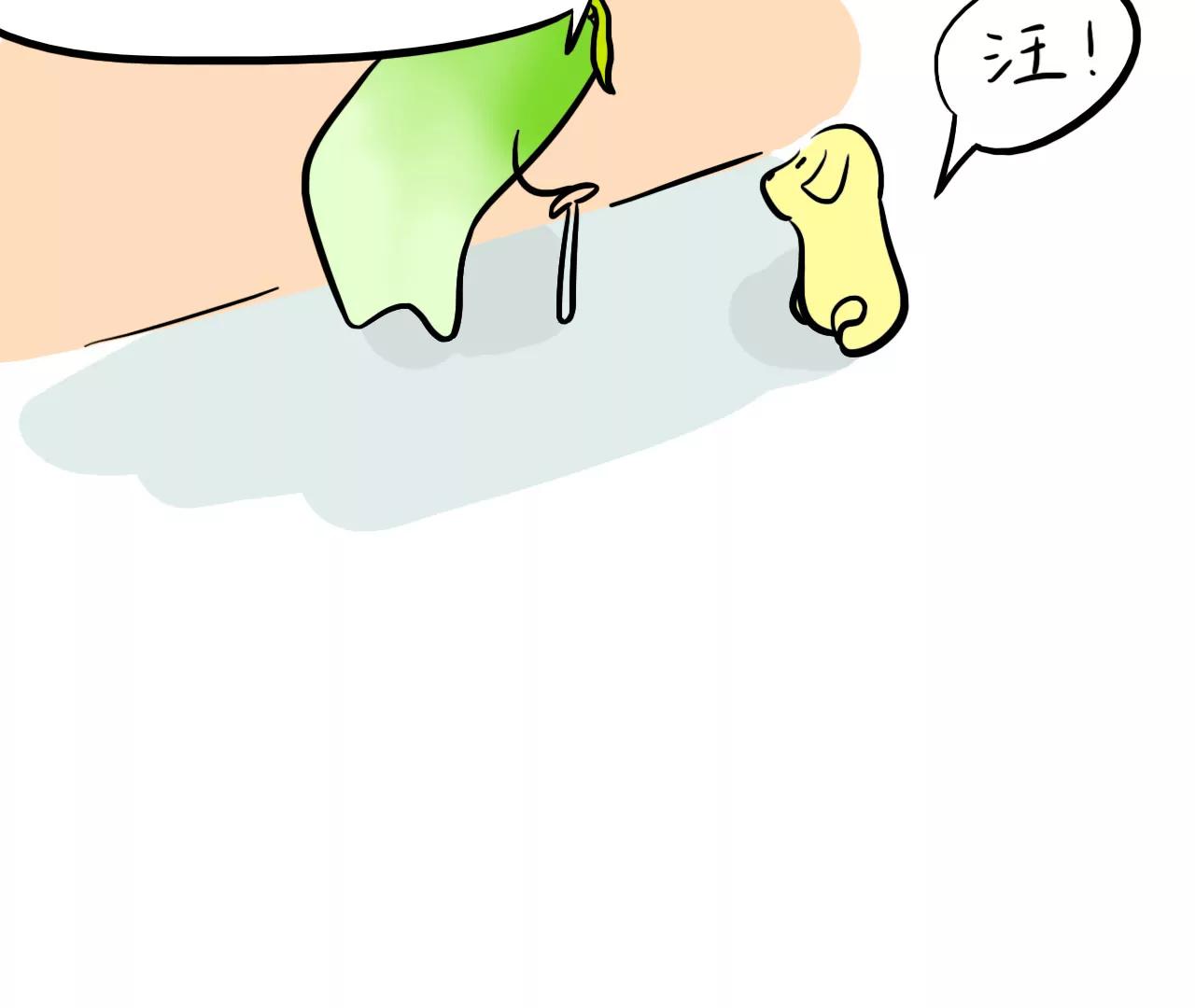 狗狗去哪了15