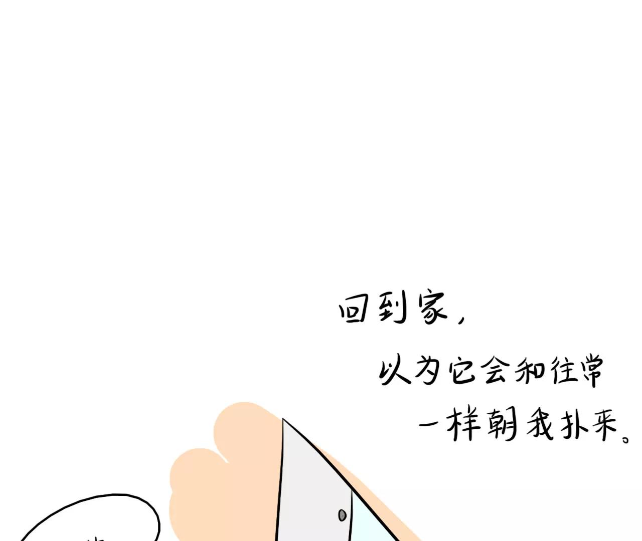 狗狗去哪了21