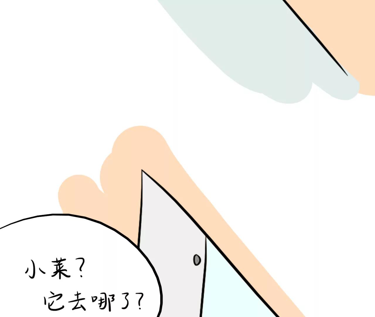 狗狗去哪了7