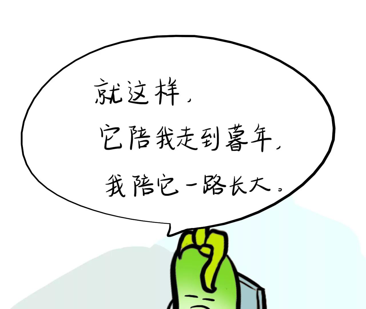 狗狗去哪了（下）26