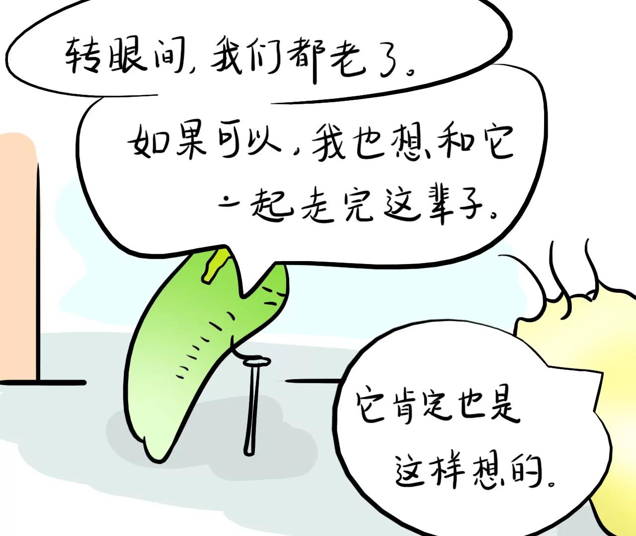 狗狗去哪了（下）28