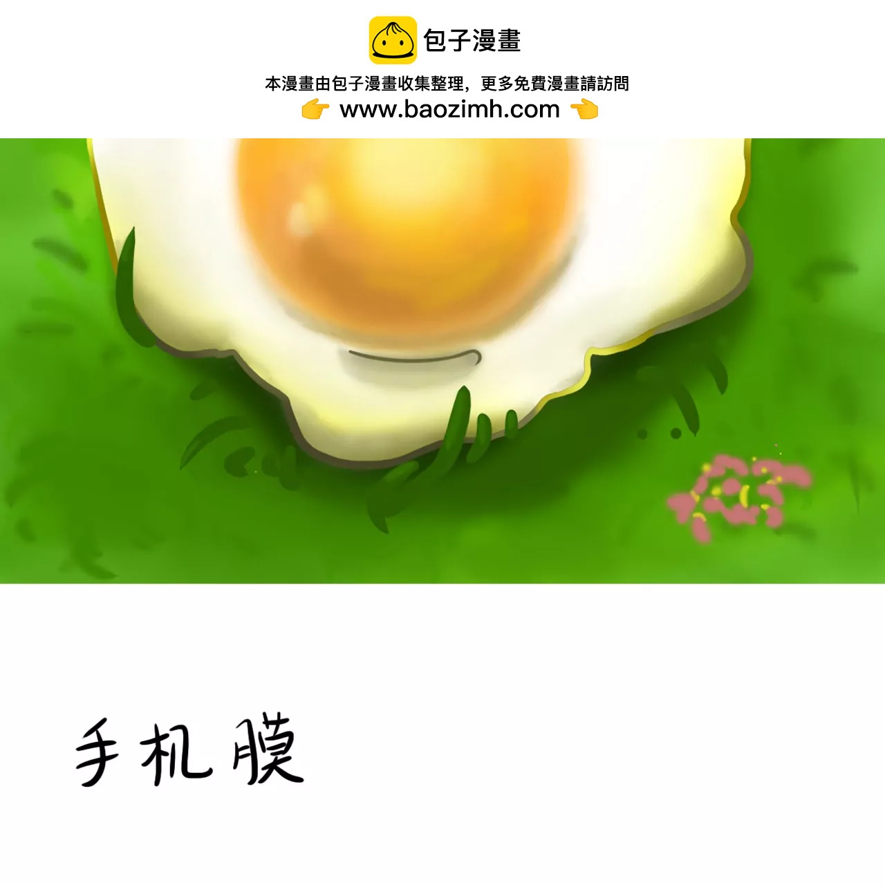 手机膜1