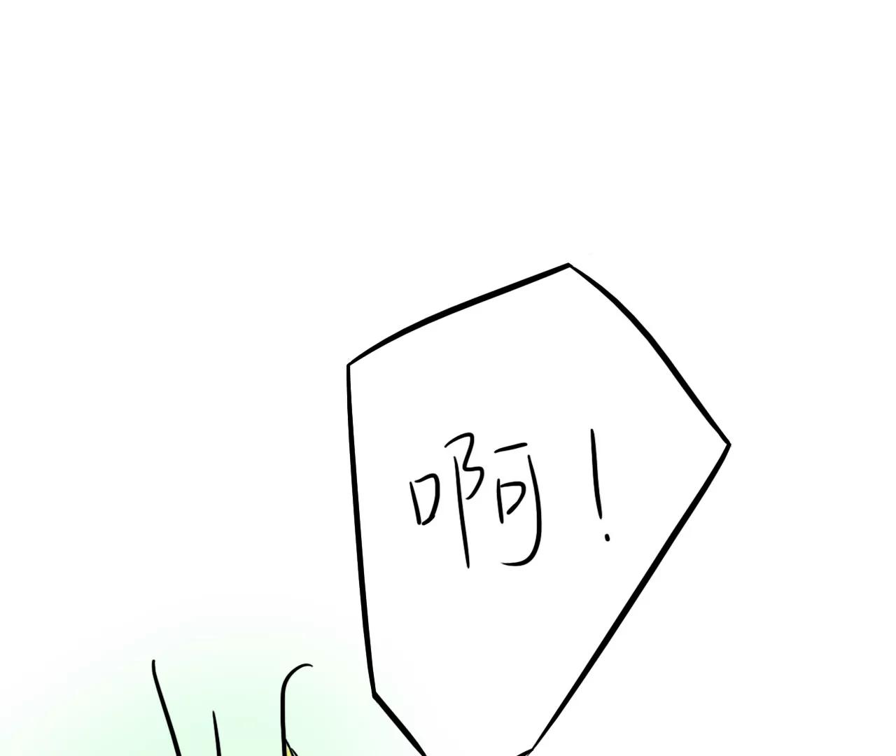 手机膜12