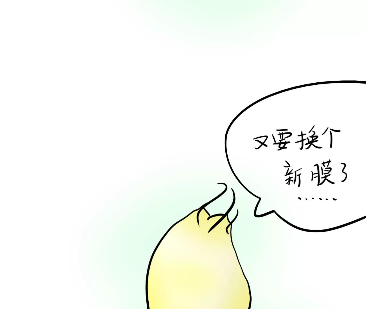 手机膜27