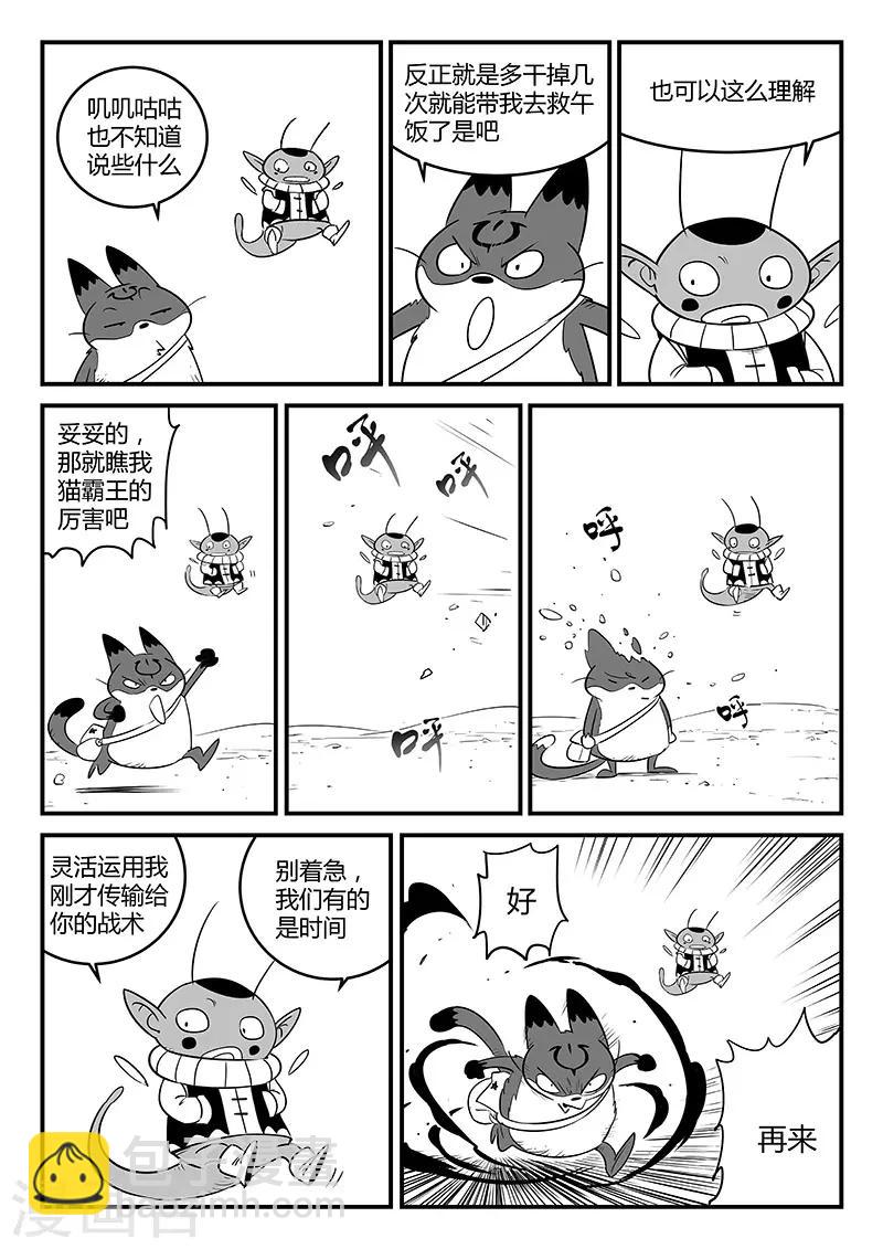 第248话 特训与特训之外1
