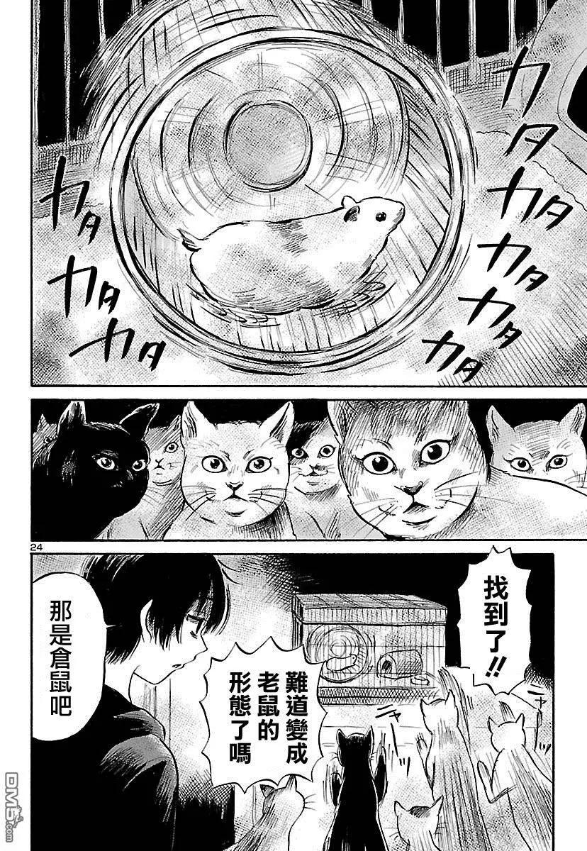 第52回24