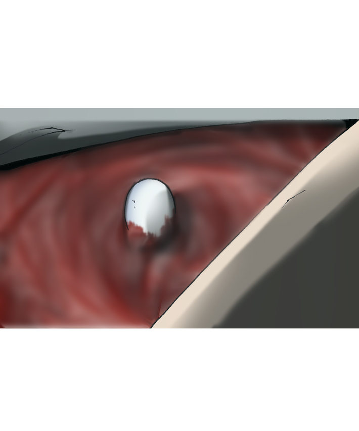 第17话22