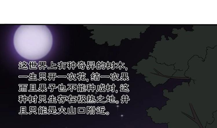 第14话 火阳果26